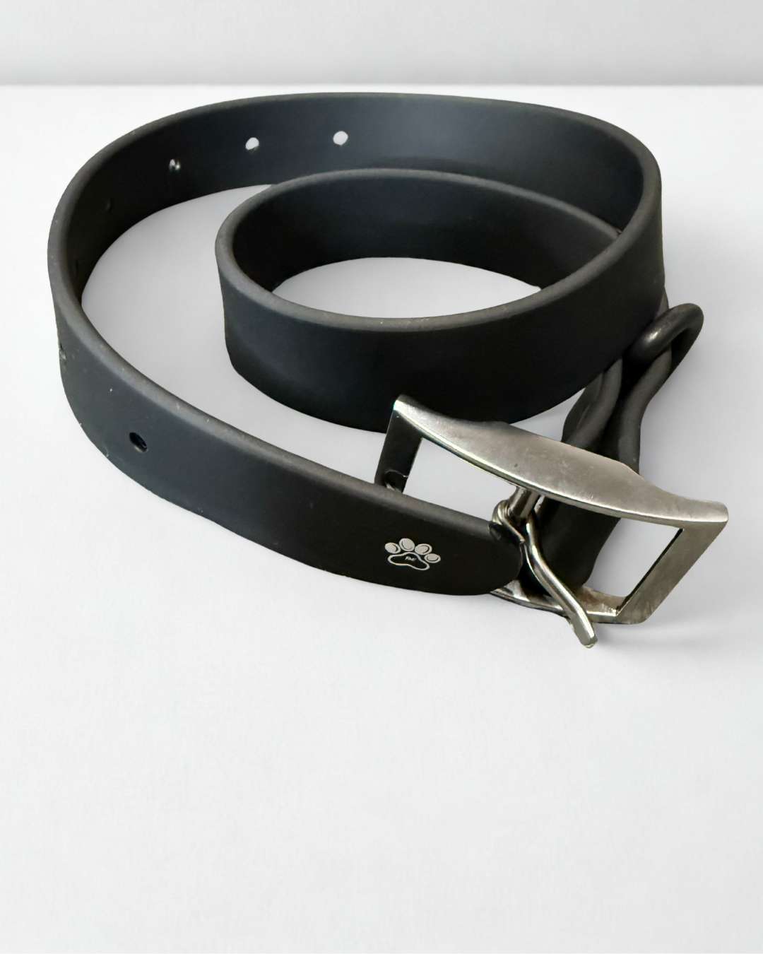 Waterproof Dog Collar - Black