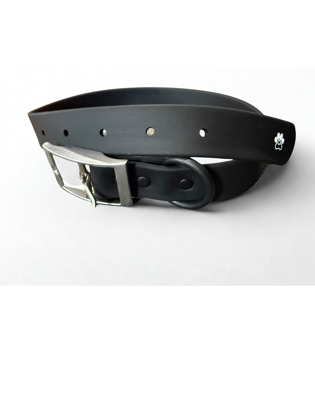 Waterproof Dog Collar - Black