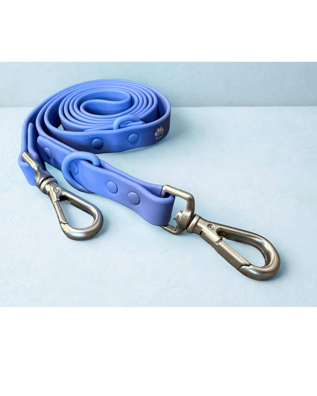 Waterproof Dog Leash - Blue