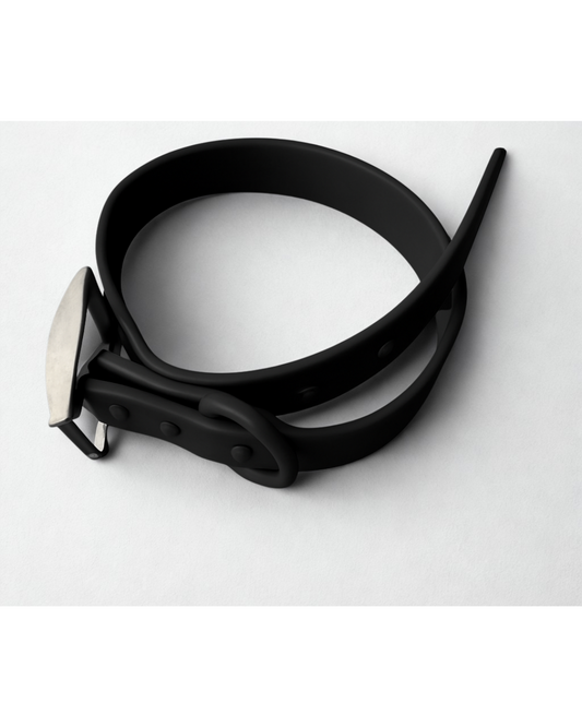 Waterproof Dog Collar - Black